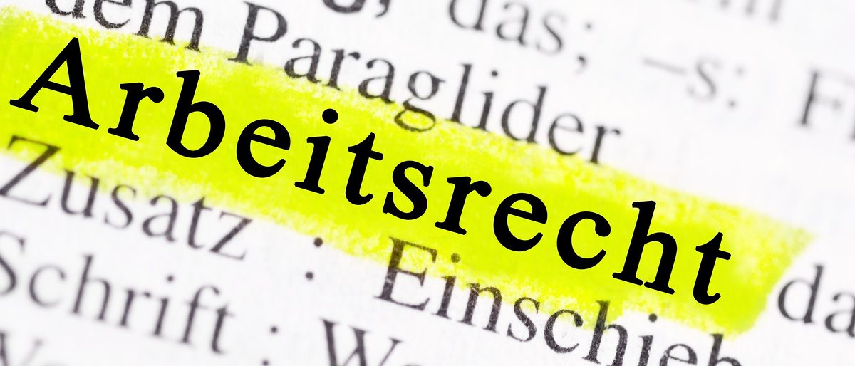 arbeitsrecht, duden, wrterbuch, arbeitgeber, arbeitnehmer, anwalt, arbeitsgericht, arbeitsplatz, arbeitsvertrag, arbeitszeit, chef, gehalt, gesetz, grundgesetz, klage, kndigung, recht, schutz, sozialgesetz, tarif, urteil, vertrag, abmahnung, arbeit, ausbildung, betriebsrat, bewerbung, bro, einstellung, elterngeld, elternzeit, frist, geld, gericht, gewerkschaft, job, jugendarbeit, krank, krankheit, lohn, mahnung, mutterschutz, personal, pflege, rente, sicherheit, streit, teilzeit, urlaub, verfassung